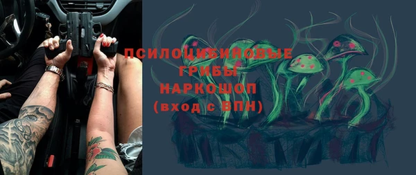 твердый Алексеевка