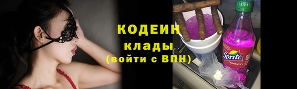 прущие грибы Абдулино