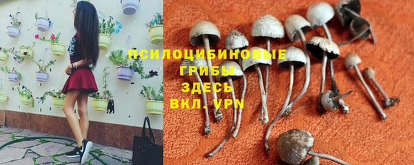 твердый Алексеевка