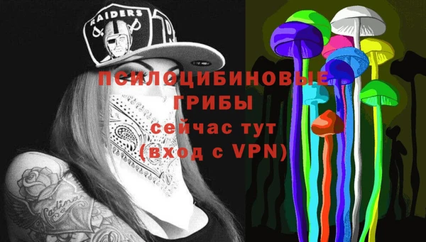 твердый Алексеевка