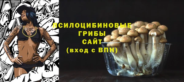 винт Алзамай