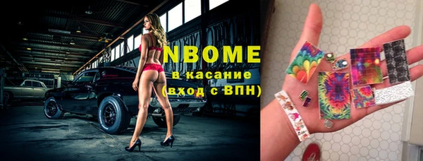 винт Алзамай