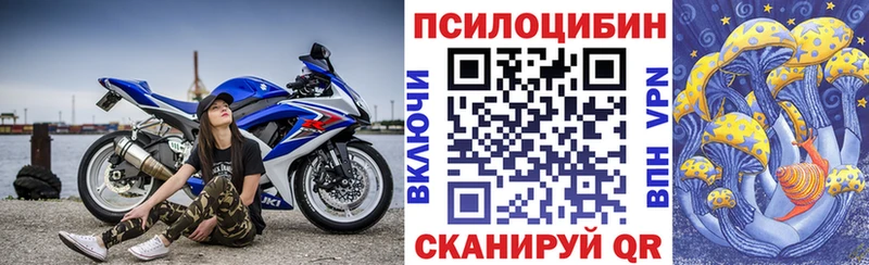 купить закладку  Сочи  Псилоцибиновые грибы GOLDEN TEACHER 