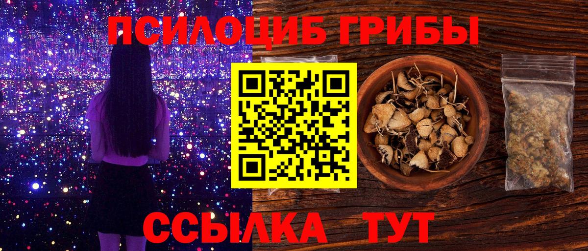Сочи  Псилоцибиновые грибы мицелий  сколько стоит  Вход с VPN 